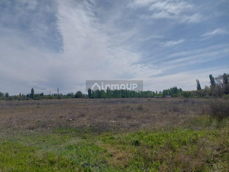 Finca en Venta en San Rafael, Mendoza