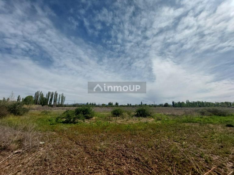 Finca en Venta en San Rafael, Mendoza