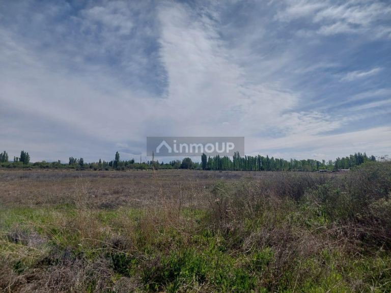 Finca en Venta en San Rafael, Mendoza