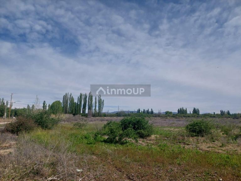 Finca en Venta en San Rafael, Mendoza