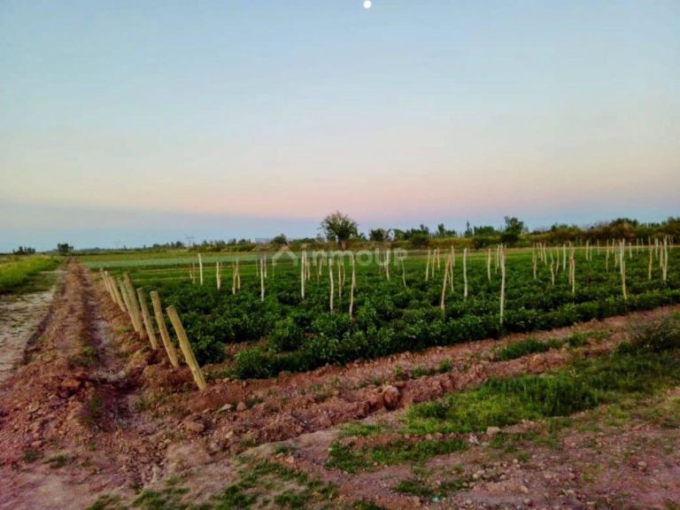 Lote en Venta en Las Heras, Mendoza - USD 100.000 | Inmoup - 9