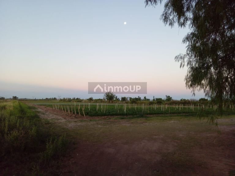 Lote en Venta en Las Heras, Mendoza - USD 100.000 | Inmoup - 14