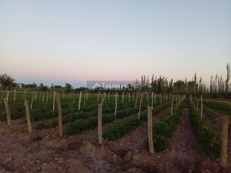 Lote en Venta en Las Heras, Mendoza - USD 100.000 | Inmoup - 8
