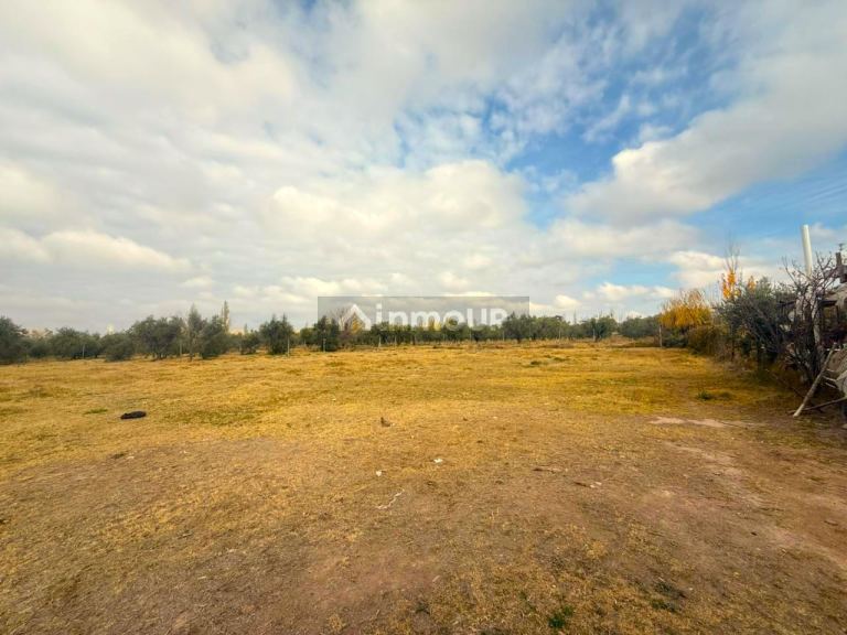Lote en Venta en Maipu, Mendoza