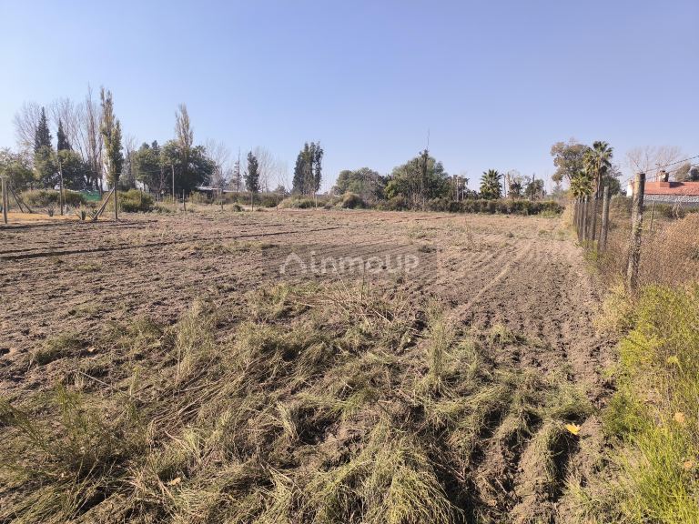 Lote en Venta en Maipu, Mendoza