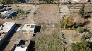 Maipu FATTIGONE S/N,  Maipú,  Rodeo del Medio,  Mendoza,  Argentina