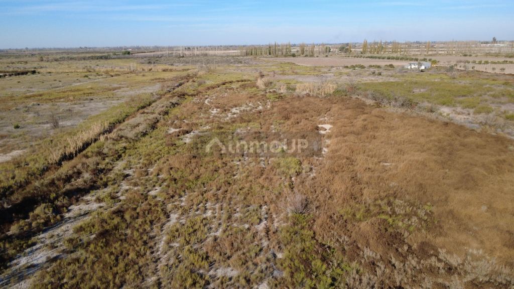 Lote en Venta en Maipu, Mendoza