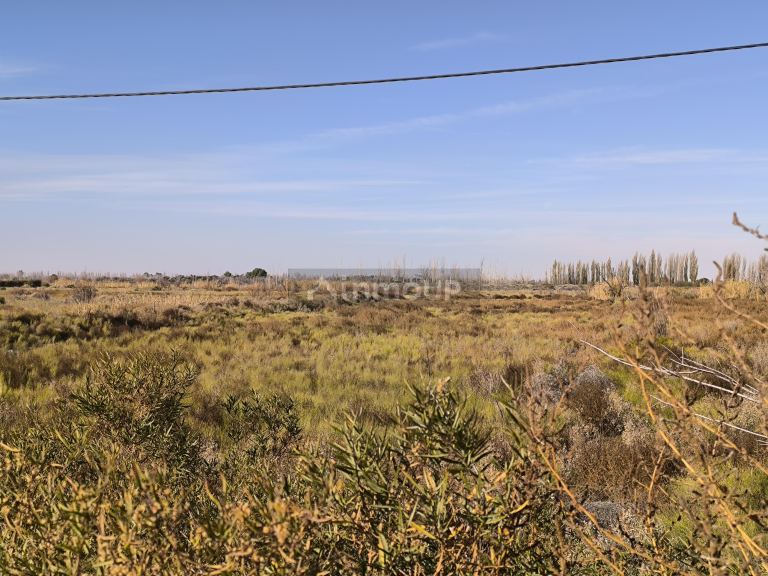 Lote en Venta en Maipu, Mendoza