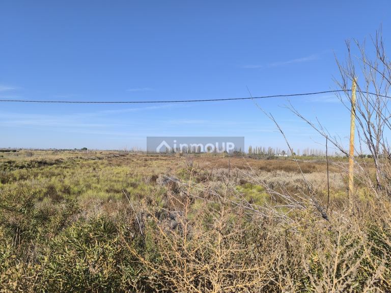 Lote en Venta en Maipu, Mendoza