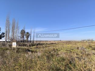 Maipu Tittarelli s/n,  Maipú,  Rodeo del Medio,  Mendoza,  Argentina
