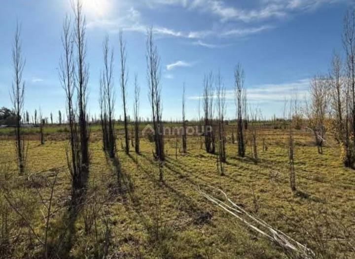Lote en Venta en San Rafael, Mendoza