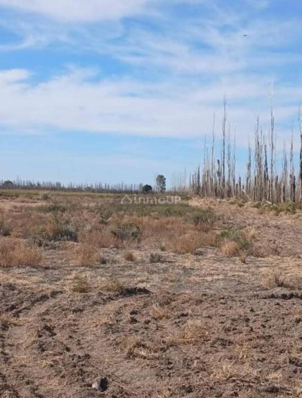 Lote en Venta en San Rafael, Mendoza