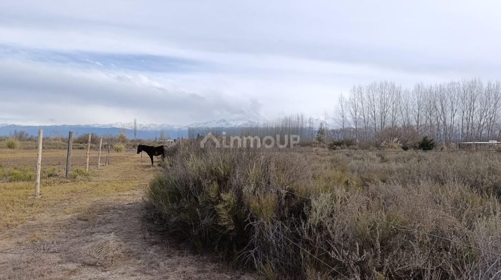 Lote en Venta en Tunuyan, Mendoza
