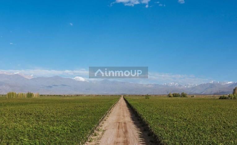 Lote en Venta en Tunuyan, Mendoza