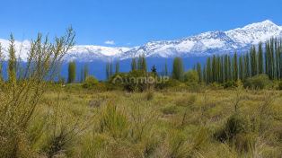 Tunuyan Avenida Argentina 0,  Tunuyán,  Tunuyán,  Mendoza,  Argentina