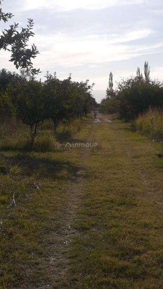 Lote en Venta en Maipu, Mendoza