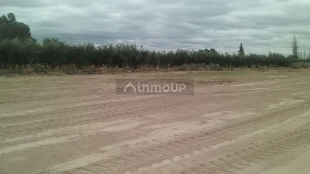 Lote en Venta en Maipu, Mendoza
