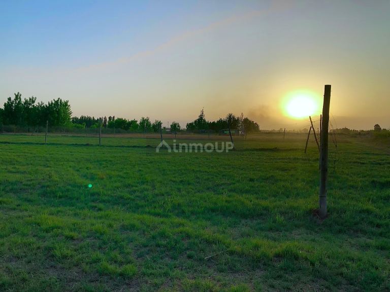 Lote en Venta en Lavalle, Mendoza