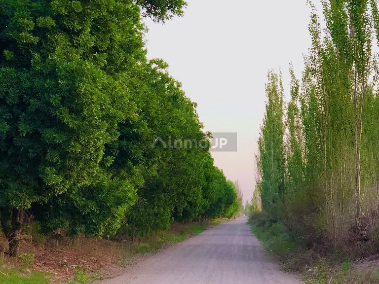 Lote en Venta en Lavalle, Mendoza