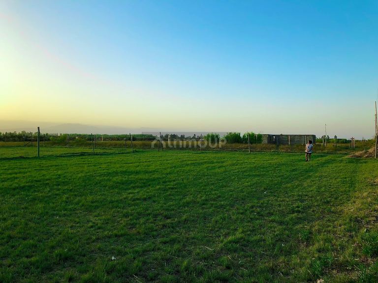 Lote en Venta en Lavalle, Mendoza
