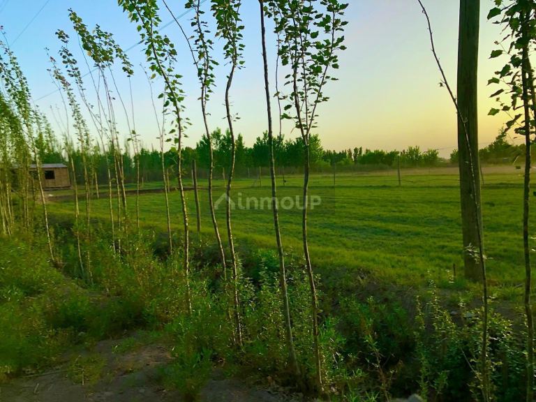 Lote en Venta en Lavalle, Mendoza