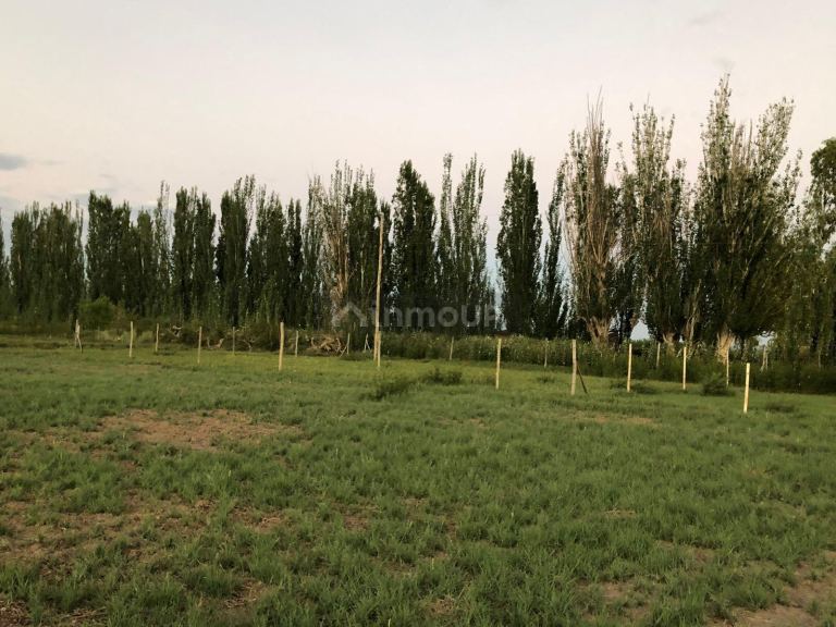 Lote en Venta en Lavalle, Mendoza