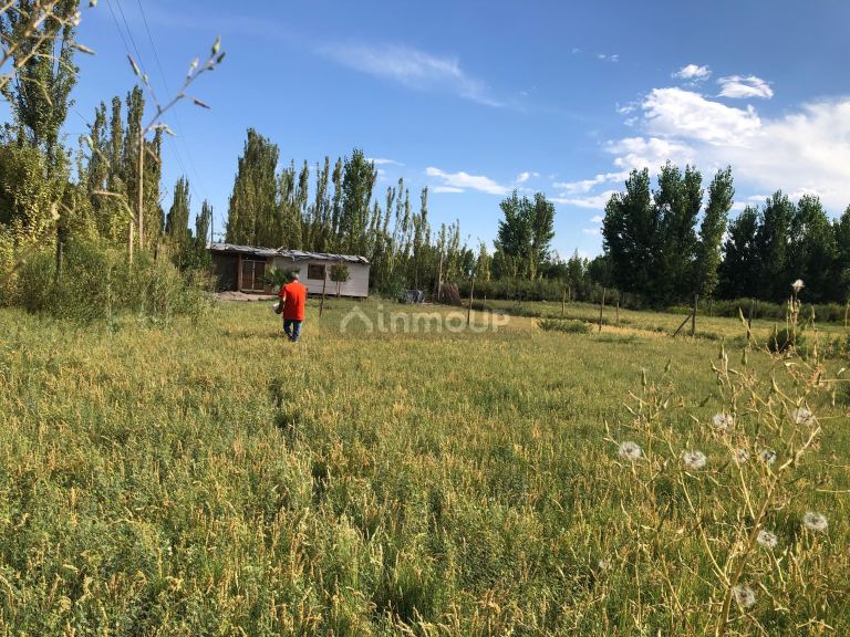 Lote en Venta en Lavalle, Mendoza