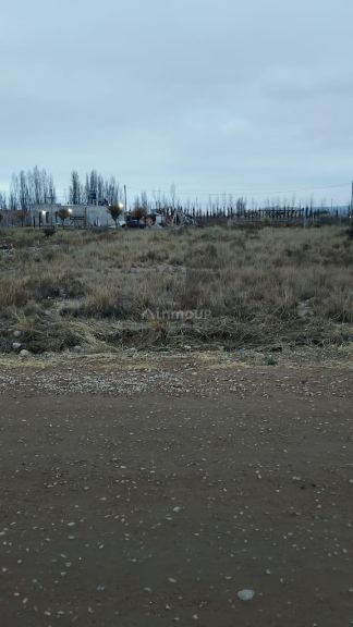 Lote en Venta en Lujan de Cuyo, Mendoza