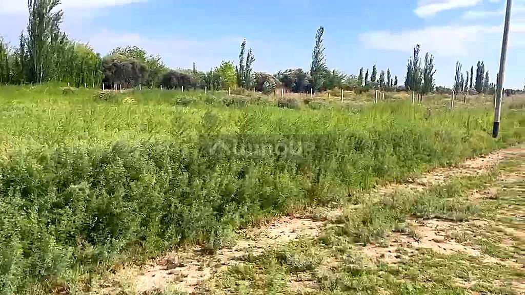 Lote en Venta en Maipu, Mendoza