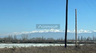 Maipu Los pinos s/n,  Maipú,  Rodeo del Medio,  Mendoza,  Argentina