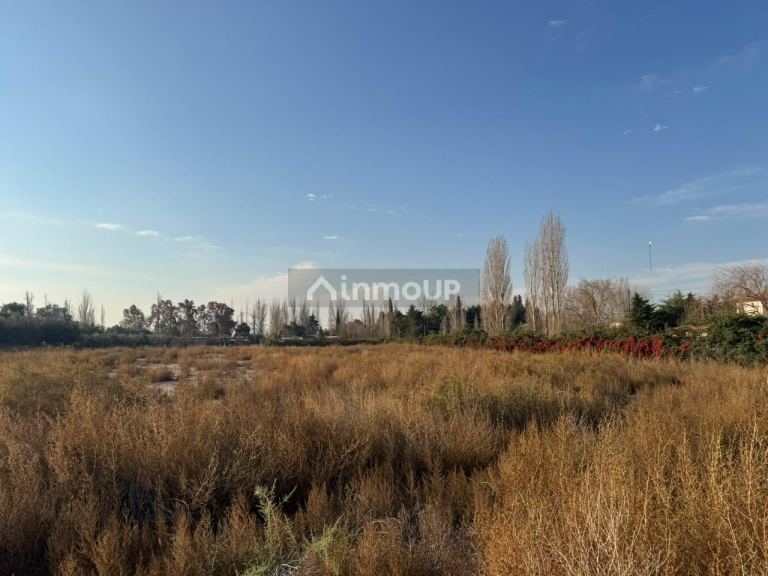 Lote en Venta en Maipu, Mendoza