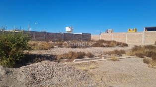 Guaymallen Orden del plata 1,  Guaymallén,  Villa Nueva,  Mendoza,  Argentina