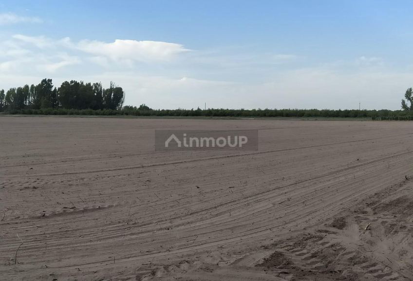 Finca en Venta en Santa Rosa, Mendoza