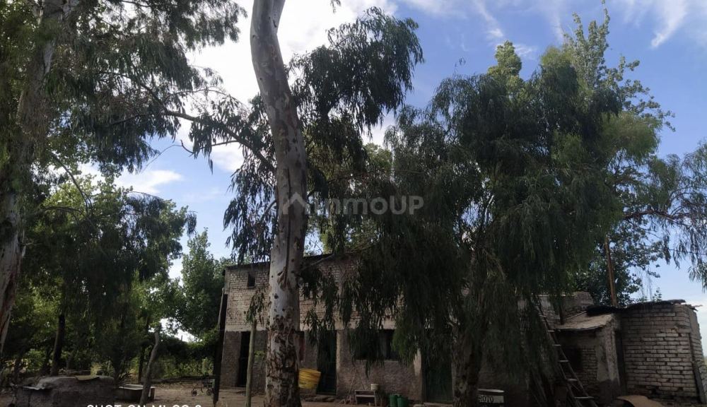 Finca en Venta en Santa Rosa, Mendoza