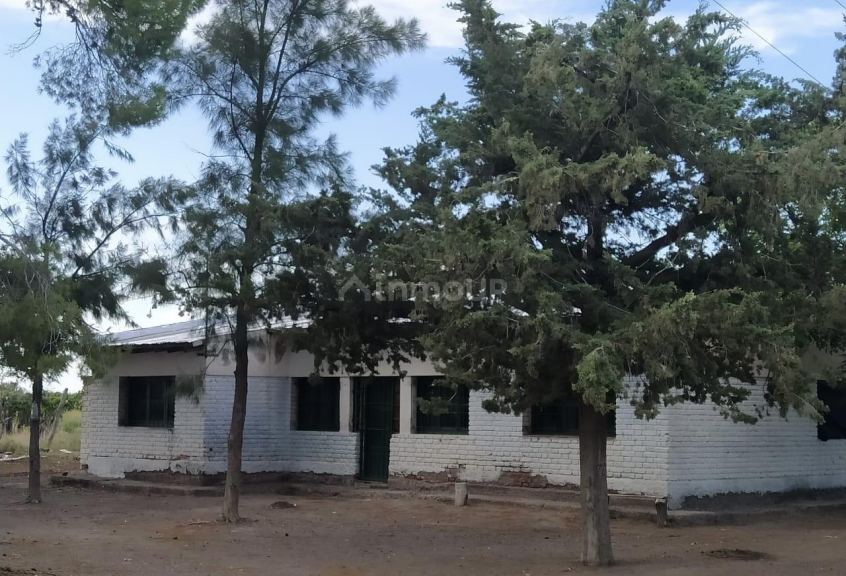 Finca en Venta en Santa Rosa, Mendoza