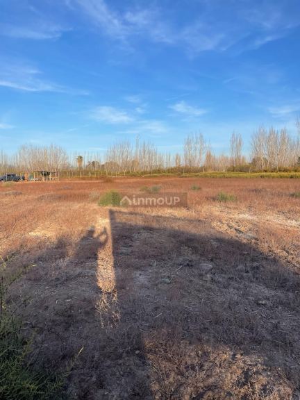 Lote en Venta en Lavalle, Mendoza