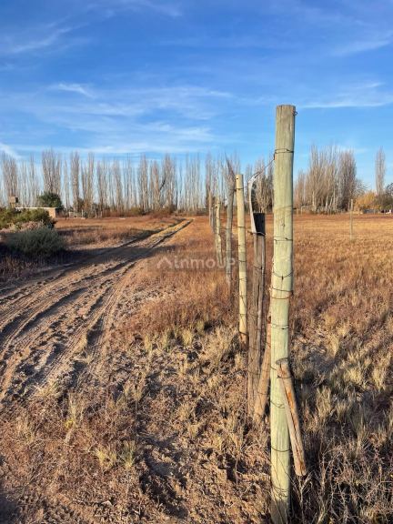 Lote en Venta en Lavalle, Mendoza
