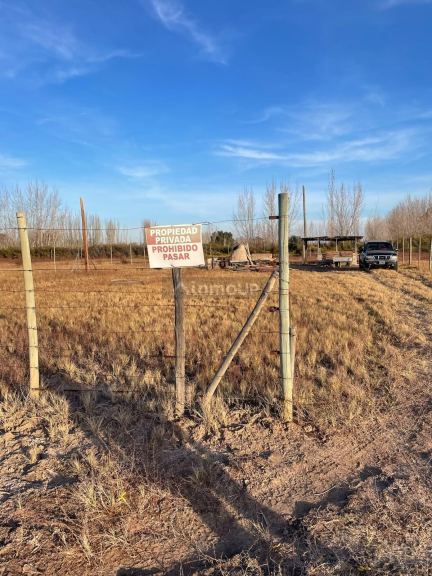 Lote en Venta en Lavalle, Mendoza
