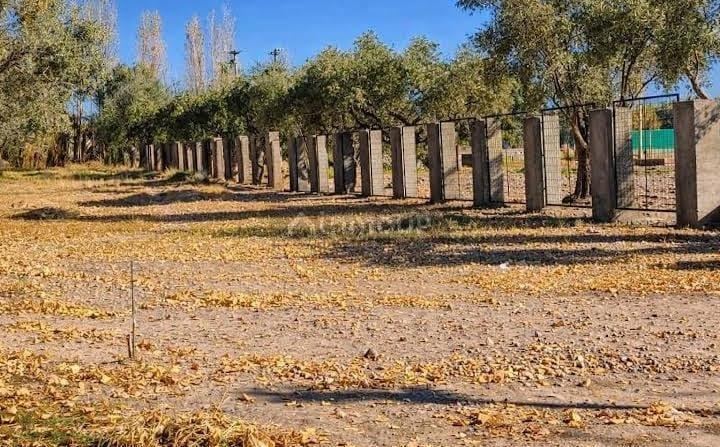 Maipu Tropero Sosa 3274,  Maipú,  Coquimbito,  Mendoza,  Argentina