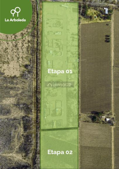 Lote en Venta en Lujan de Cuyo, Mendoza