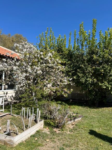 Casa en Venta en Junin, Mendoza