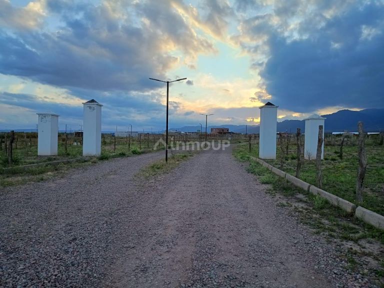 Lote en Venta en Lujan de Cuyo, Mendoza