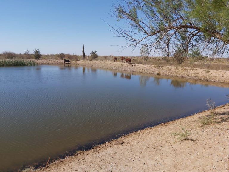 Finca en Venta en Santa Rosa, Mendoza