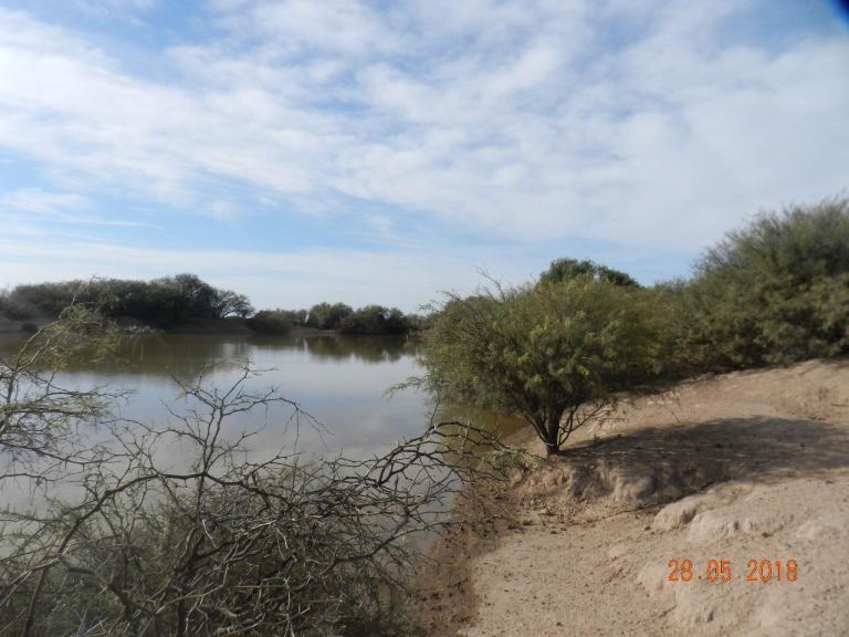 Campo en Venta en Santa Rosa, Mendoza