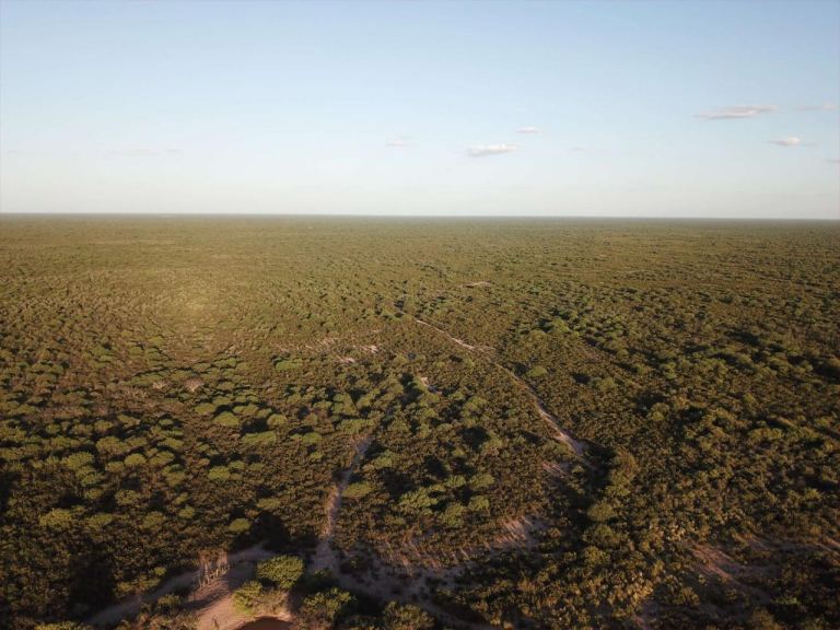 Campo en Venta en Santa Rosa, Mendoza