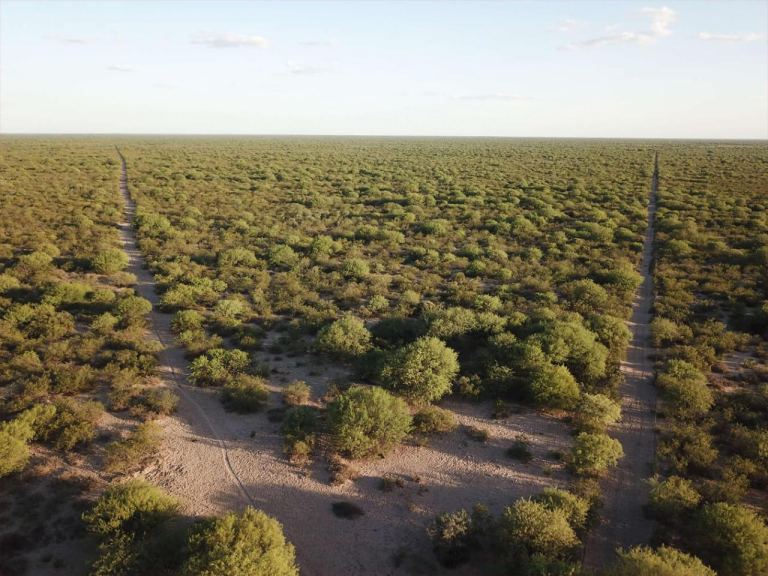 Campo en Venta en Santa Rosa, Mendoza