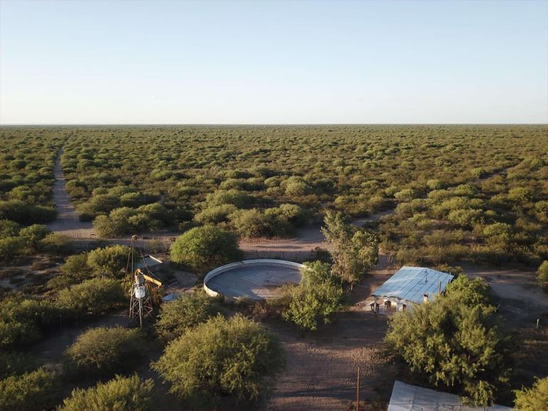 Campo en Venta en Santa Rosa, Mendoza