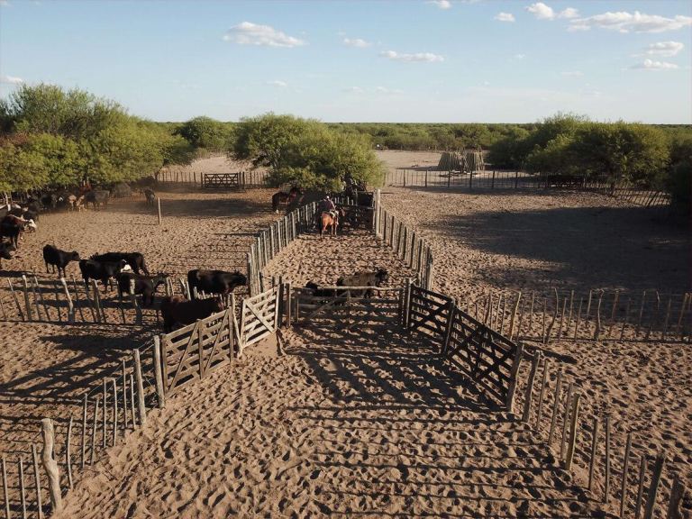 Campo en Venta en Santa Rosa, Mendoza