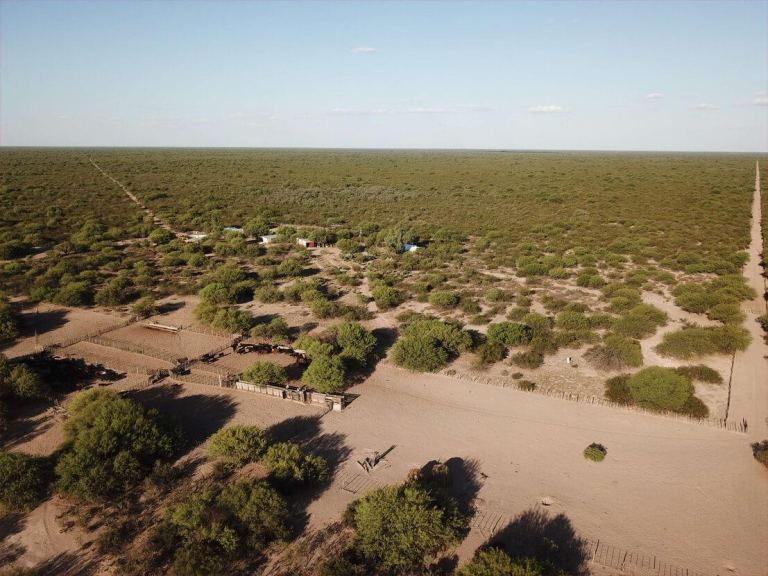 Campo en Venta en Santa Rosa, Mendoza