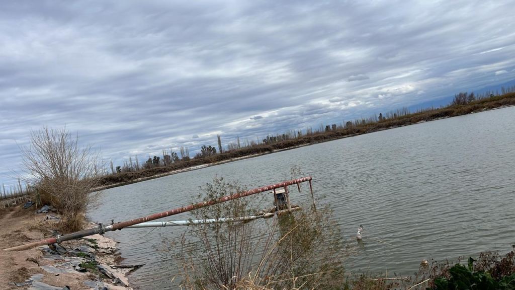 Finca en Venta en Lavalle, Mendoza